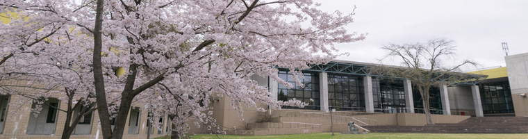 合格発表 青森公立大学 Aomori Public University